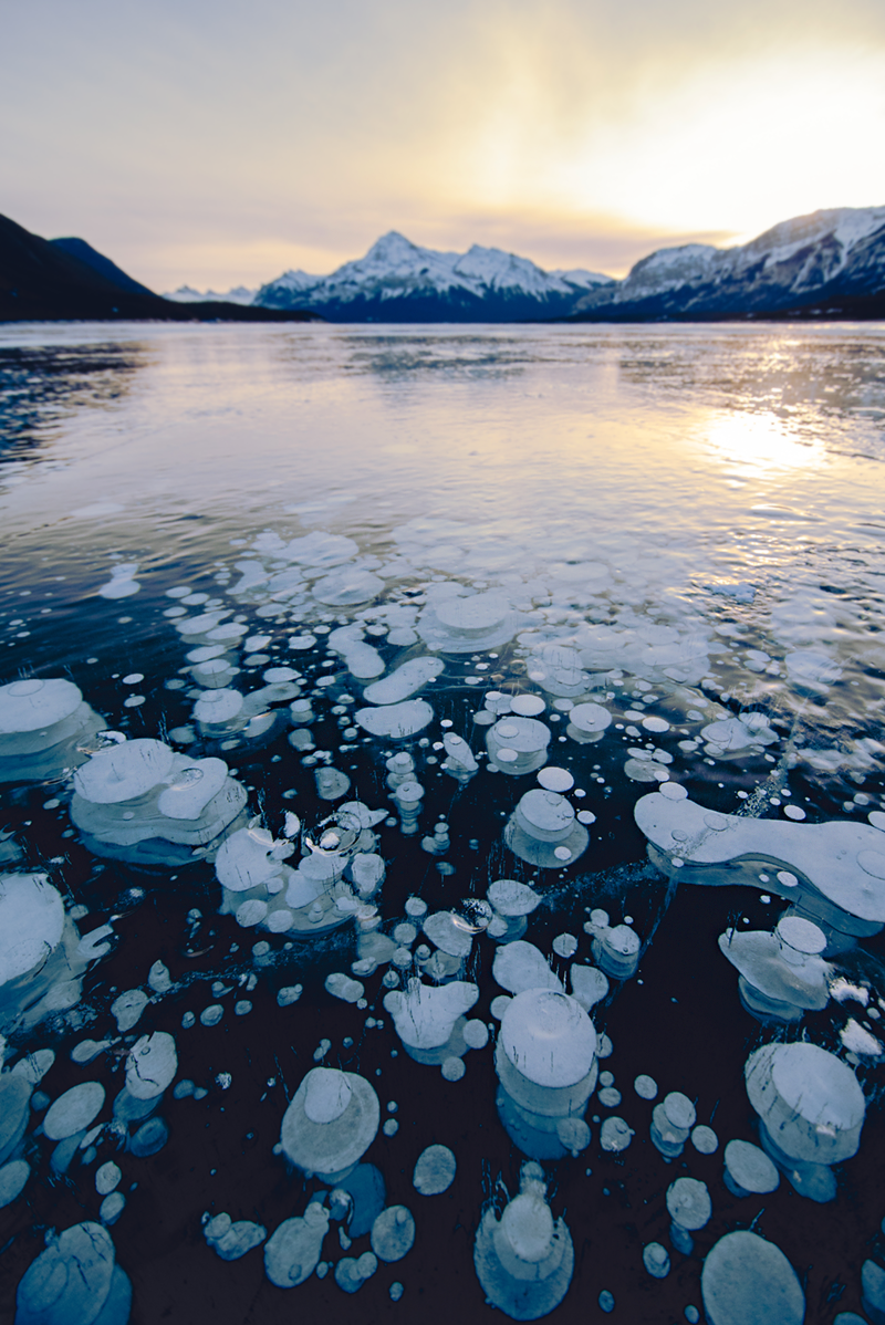 Abraham Lake Alberta Ice Bubbles