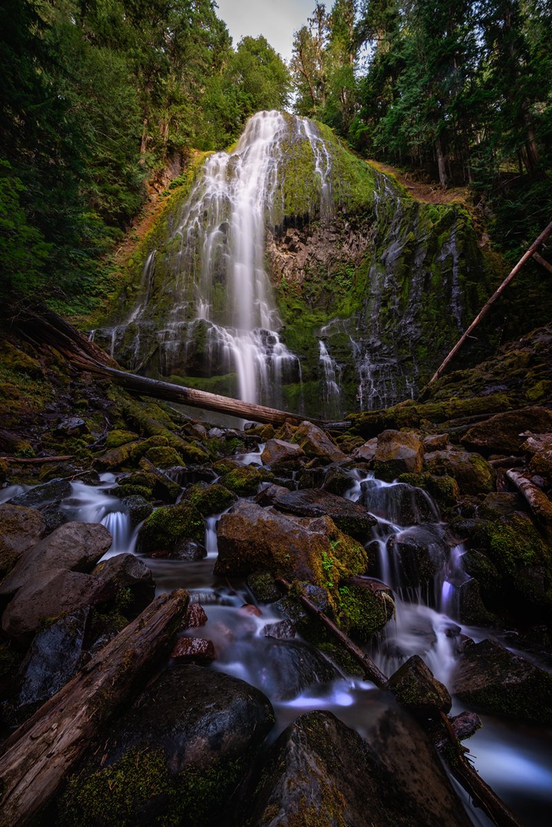 The Perfect Oregon Road Trip - Proxy Falls, Oregon