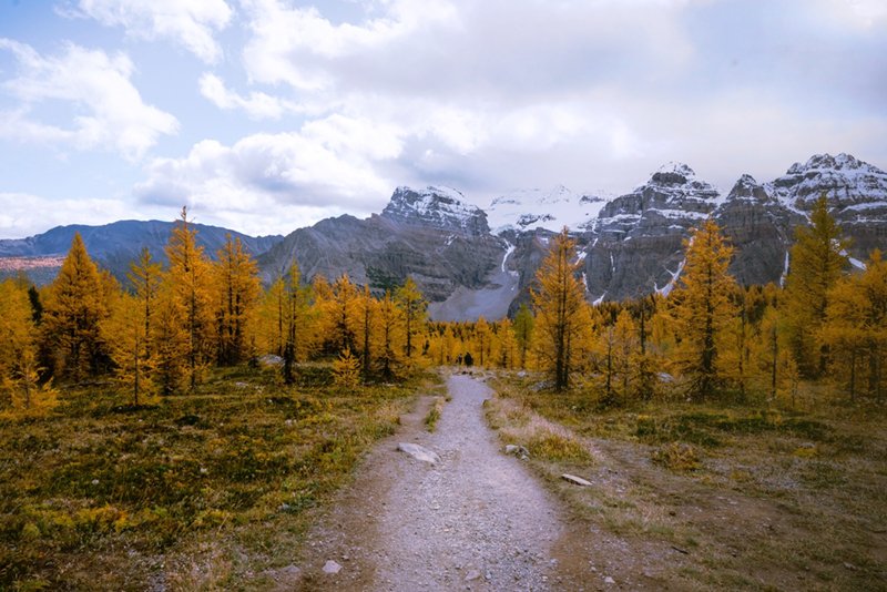 Larch Valley hike, Banff National Park