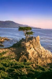 Lone Tree, California