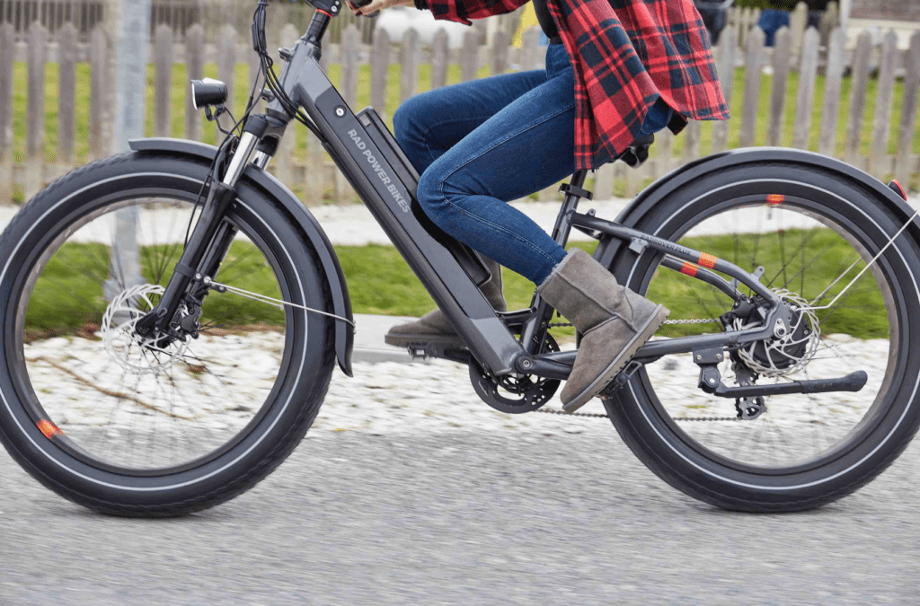 Best Ebike with Fat Tires