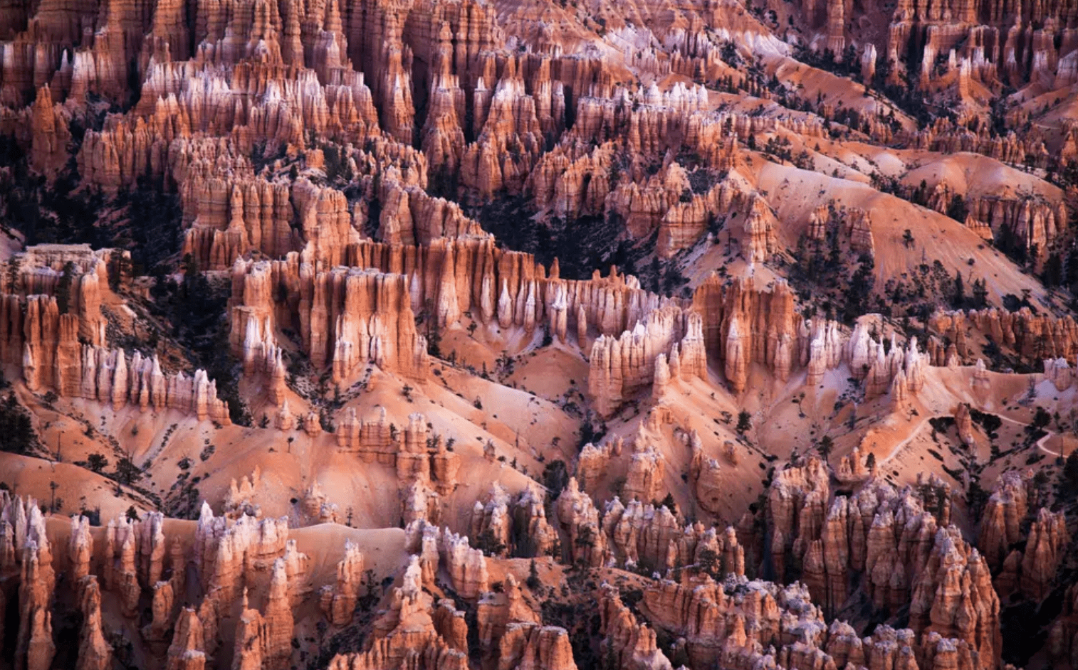 arches national park sunrise photograph