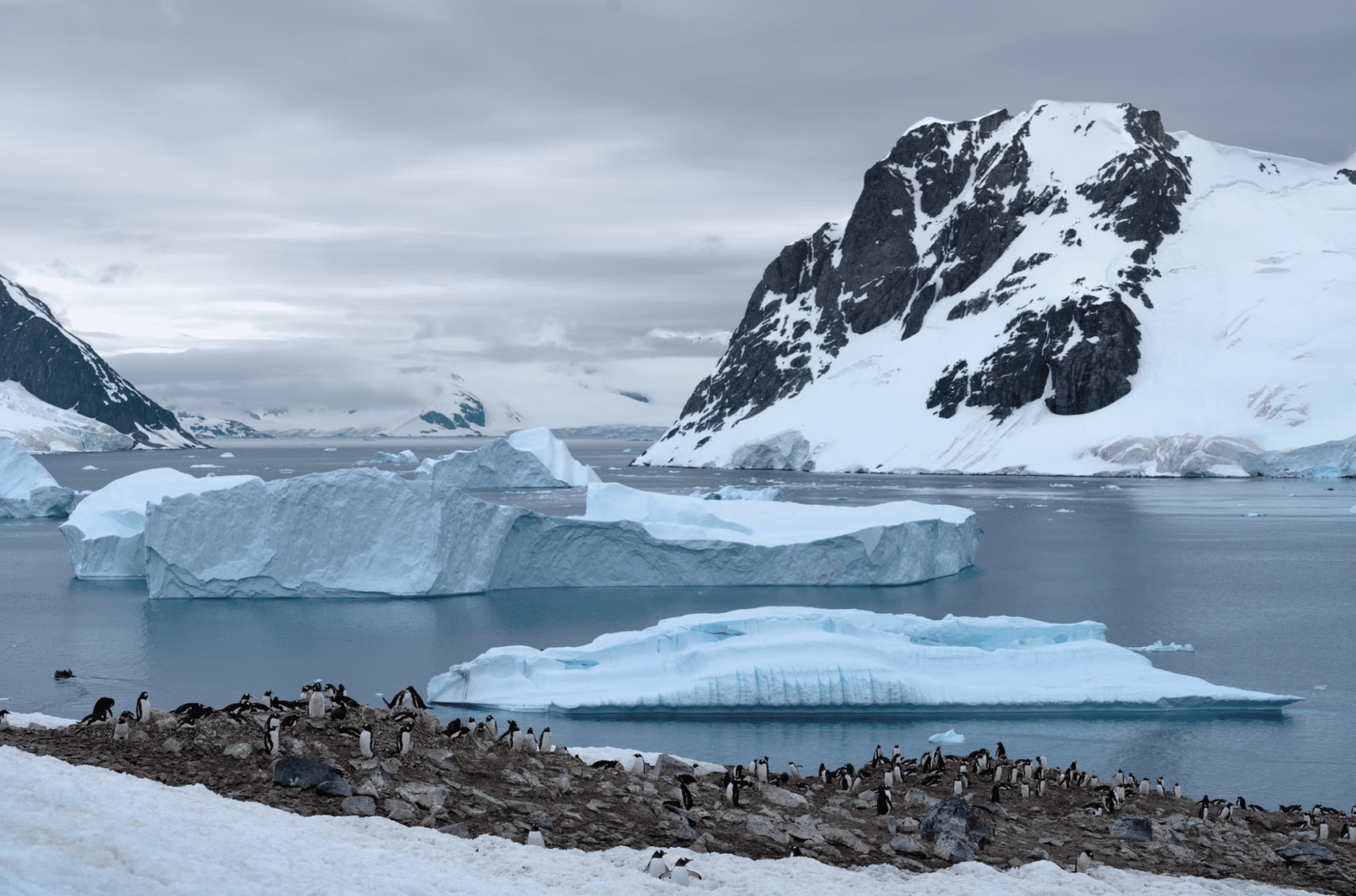 Antarctica Luxury Hotels