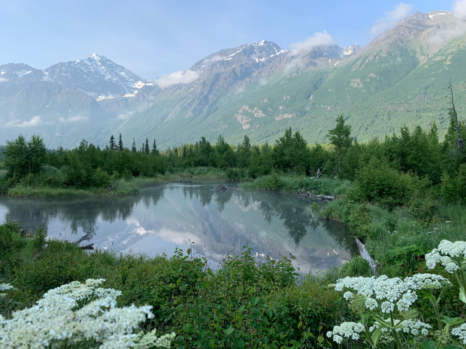 all inclusive alaska fishing trips