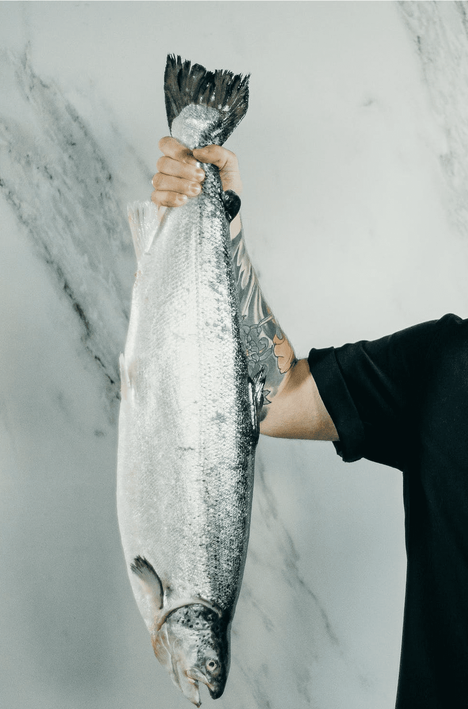 all inclusive alaska fishing trips