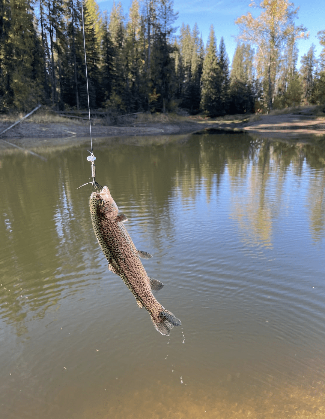 all inclusive alaska fishing trips