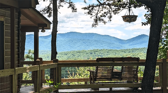 dog friendly cabins in north georgia