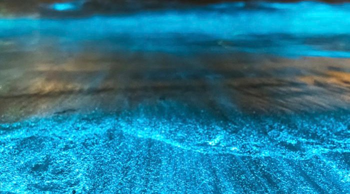 Bioluminescent Puerto Rico beaches at night